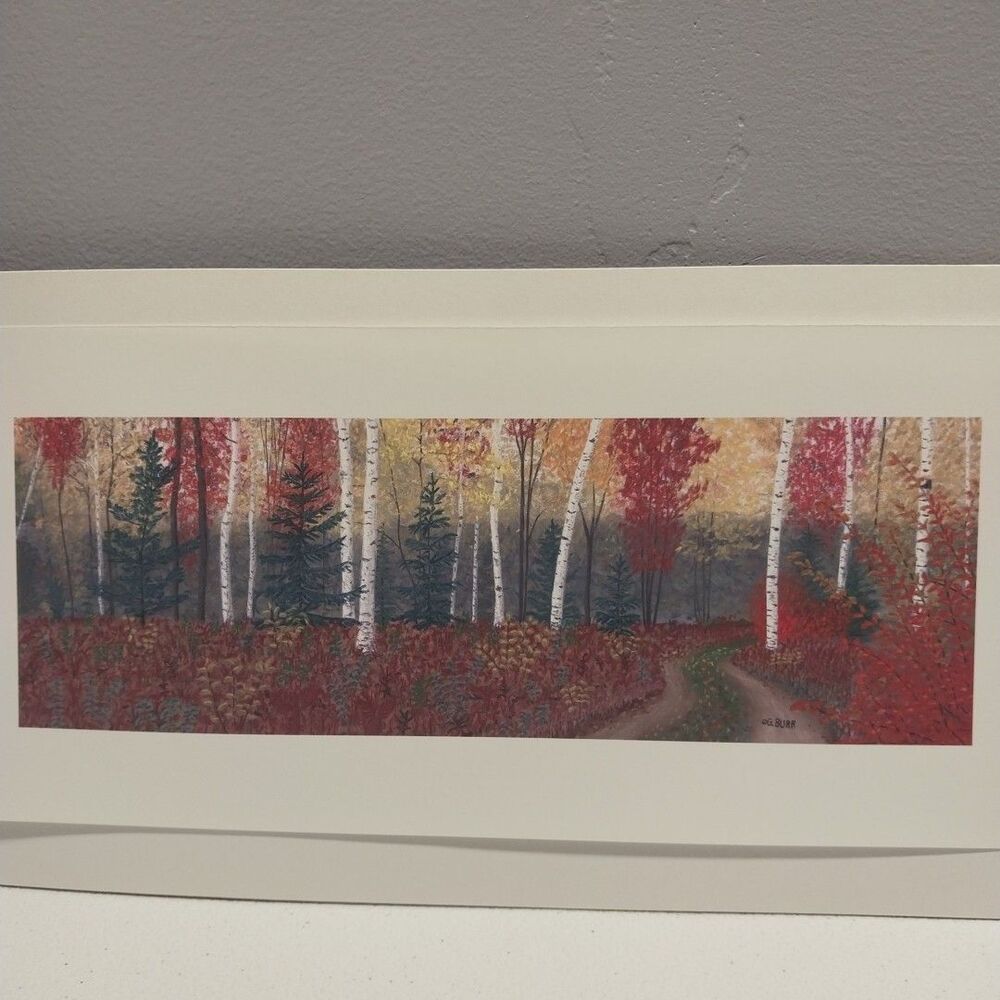 George Burr Autumn Birch Forest Print 12x6 Panoramic Fall Road Landscape Matted